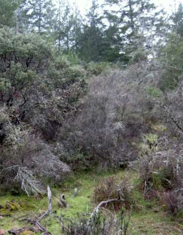 Bothe-Napa Valley State Park