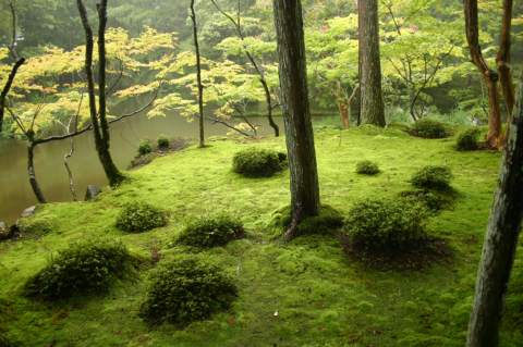 Japanese Garden