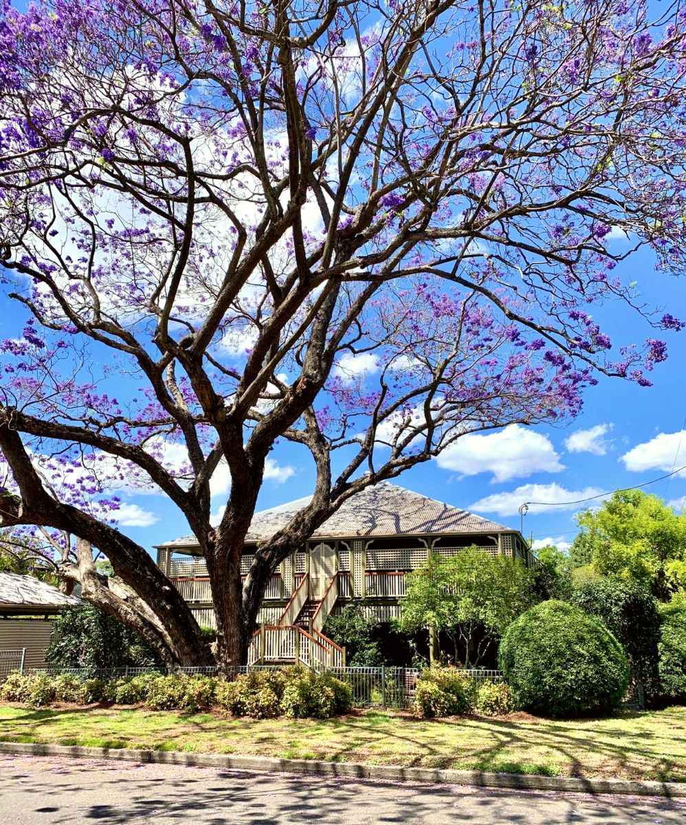 Local traditions - Brisbane