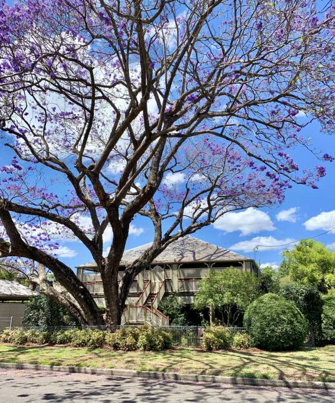 Tradiciones locales - Brisbane