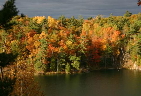 Parc de la Gatineau