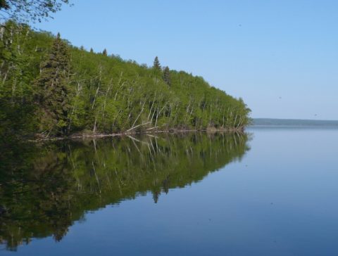 Prince Albert National Park