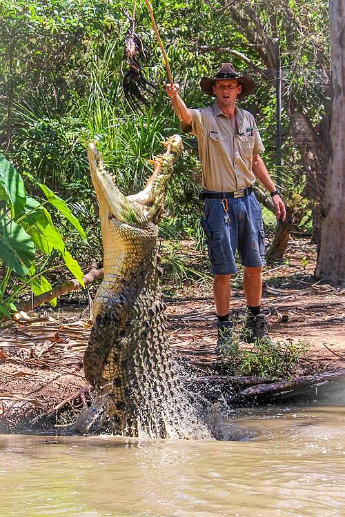 Billabong Sanctuary