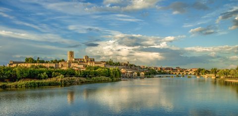Zamora