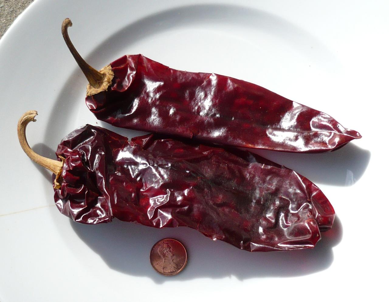 当地美食与饮品 - New Mexico
