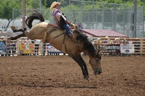 Traditions locales - South Dakota