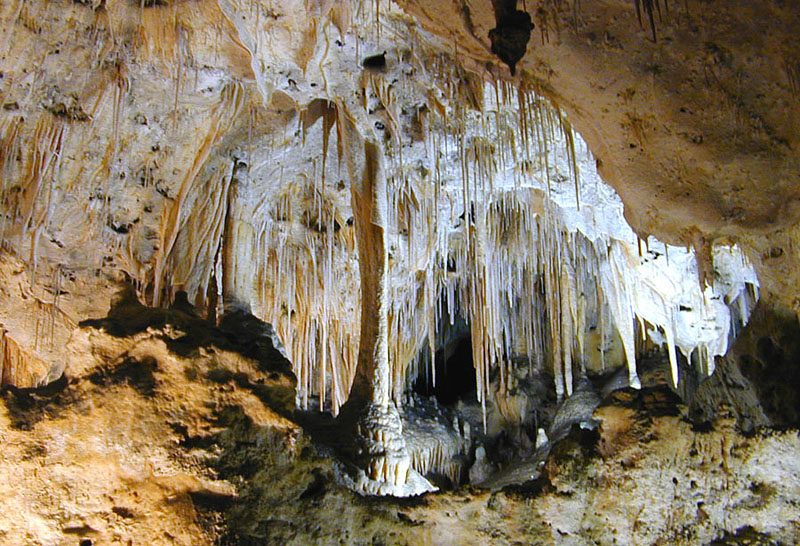 历史 - Carlsbad Caverns