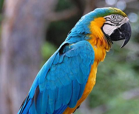 Birmingham Zoo