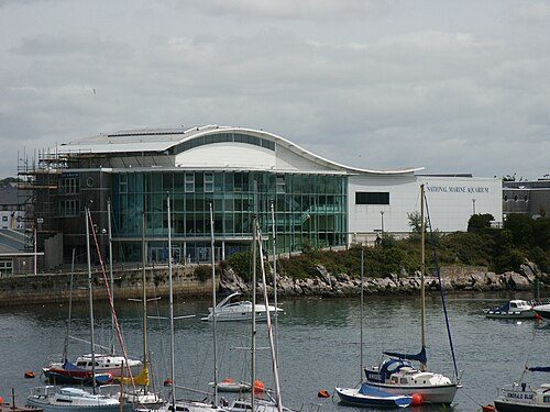 Lokale Traditionen - Plymouth