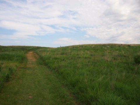 Buffalo River State Park
